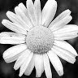 Meet your Posher, Kellie